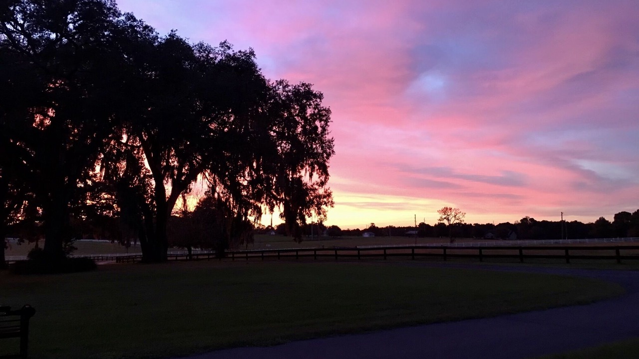Photo of Outdoor in Brooksville