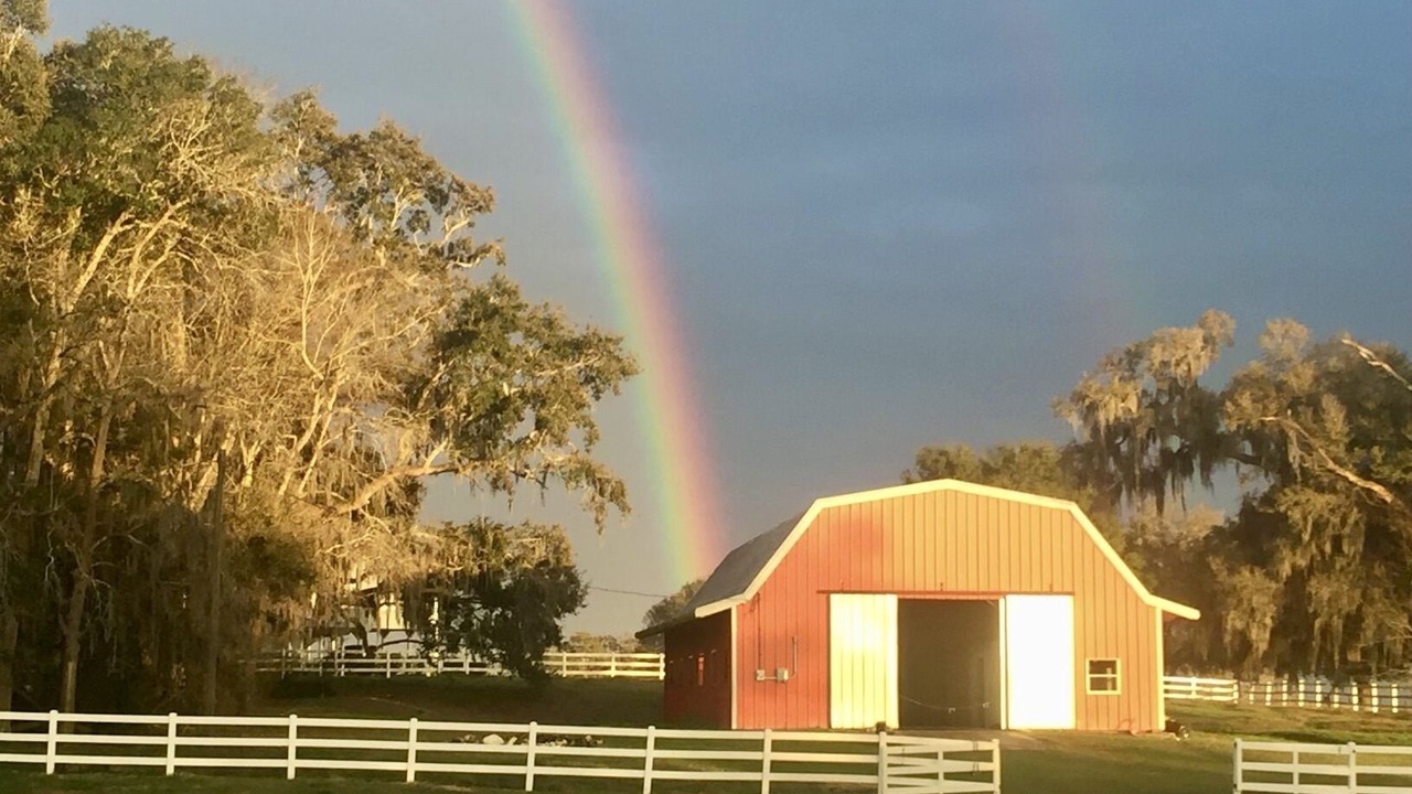 Photo of Outdoor in Brooksville