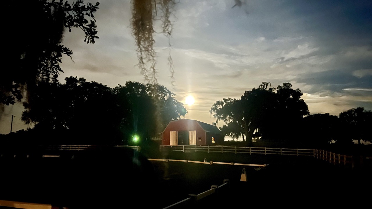 Photo of Others in Brooksville