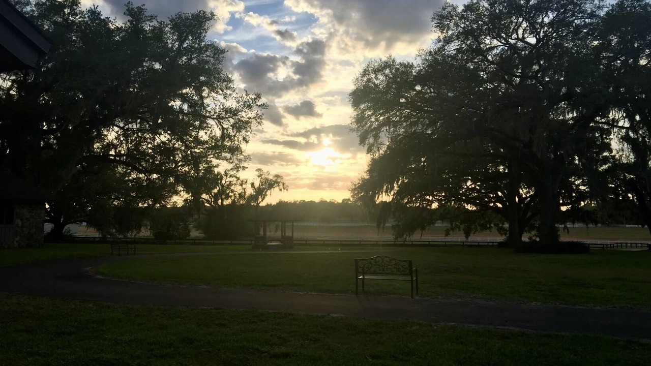 Photo of Others in Brooksville