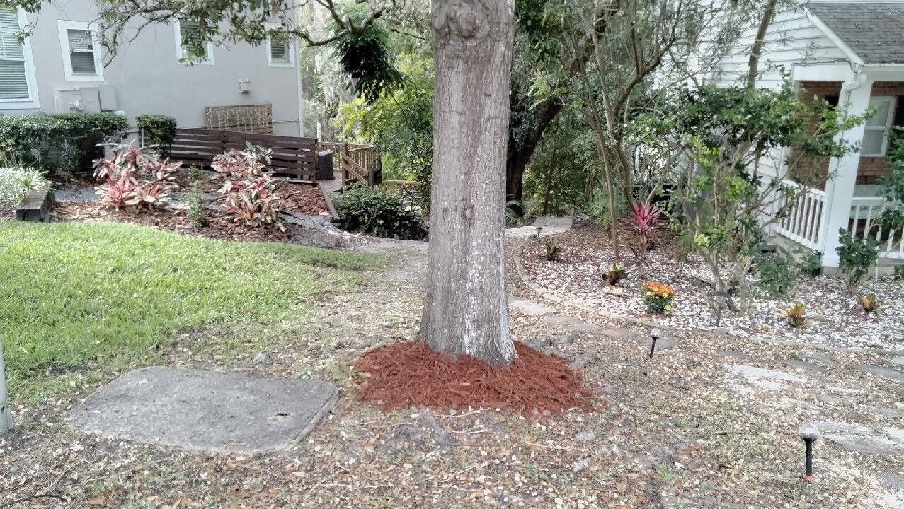Photo of Outdoor in Lakewood