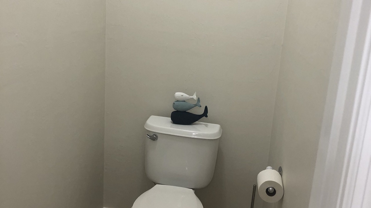 Photo of Bathroom in Suwannee
