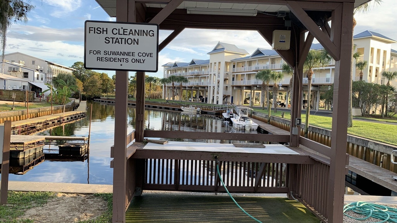 Photo of Others in Suwannee