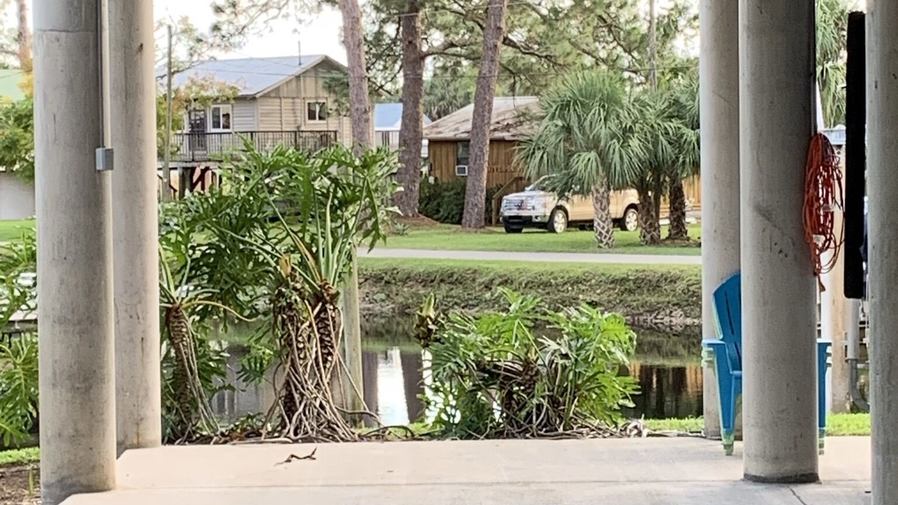 Photo of Others in Suwannee