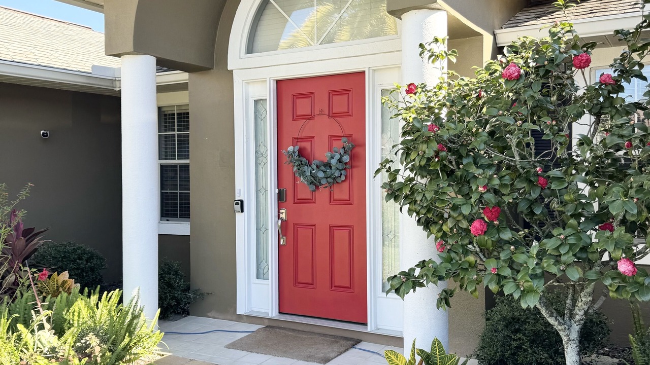 Photo of Outdoor in Palm Harbor