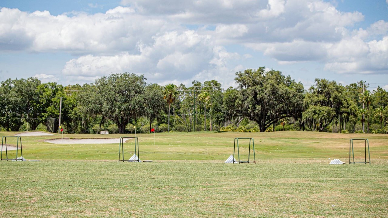 Photo of Others in Wesley Chapel
