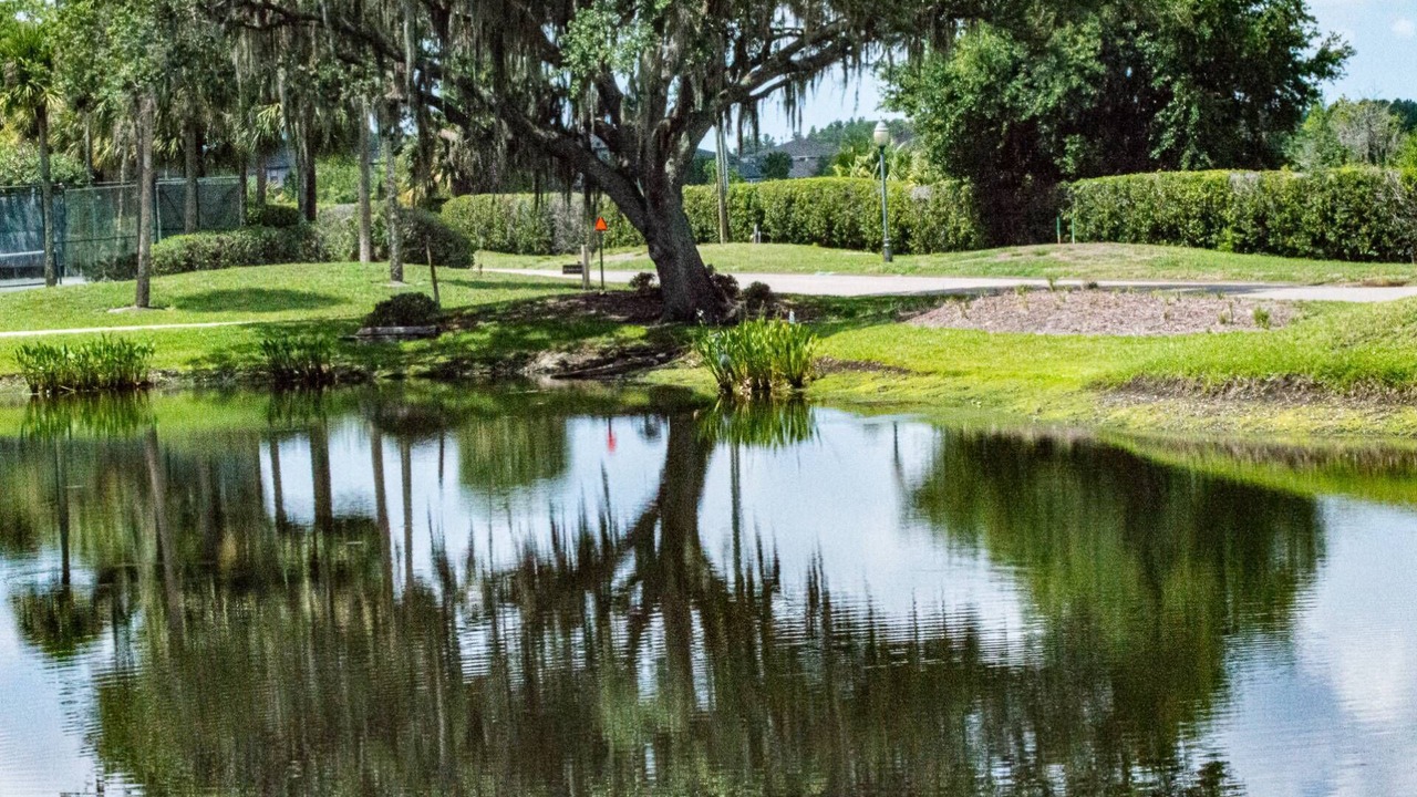 Photo of Others in Wesley Chapel