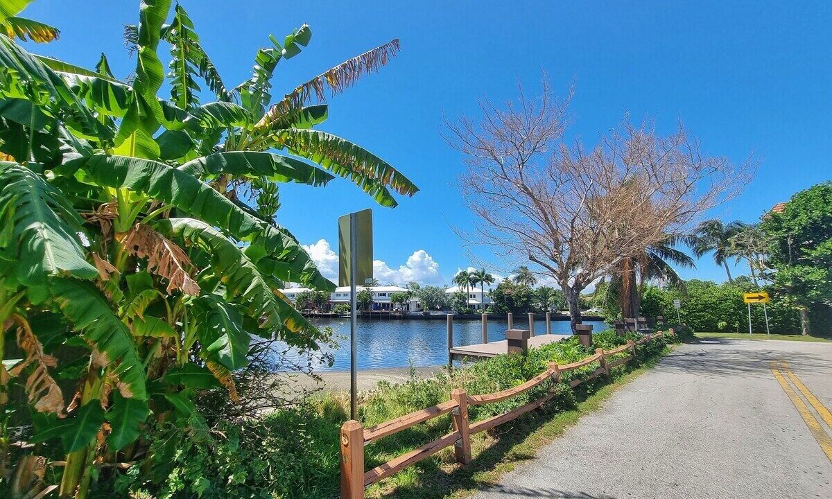 Photo of Outdoor in Middle River Terrace