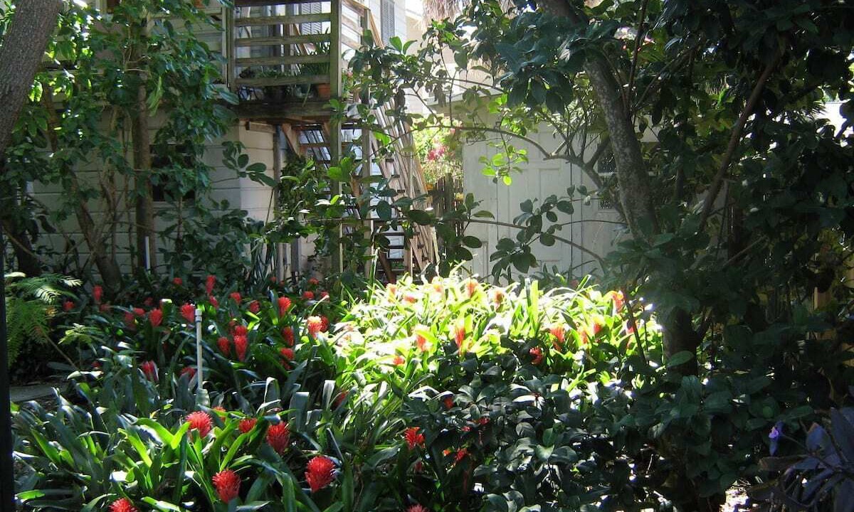 Photo of Outdoor in Historic Uptown