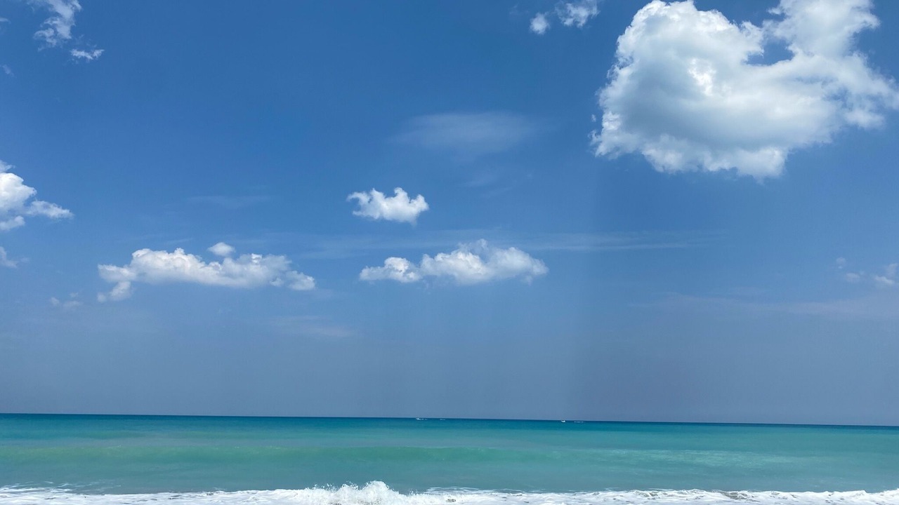 Photo of Others in Palm Beach Country Estates