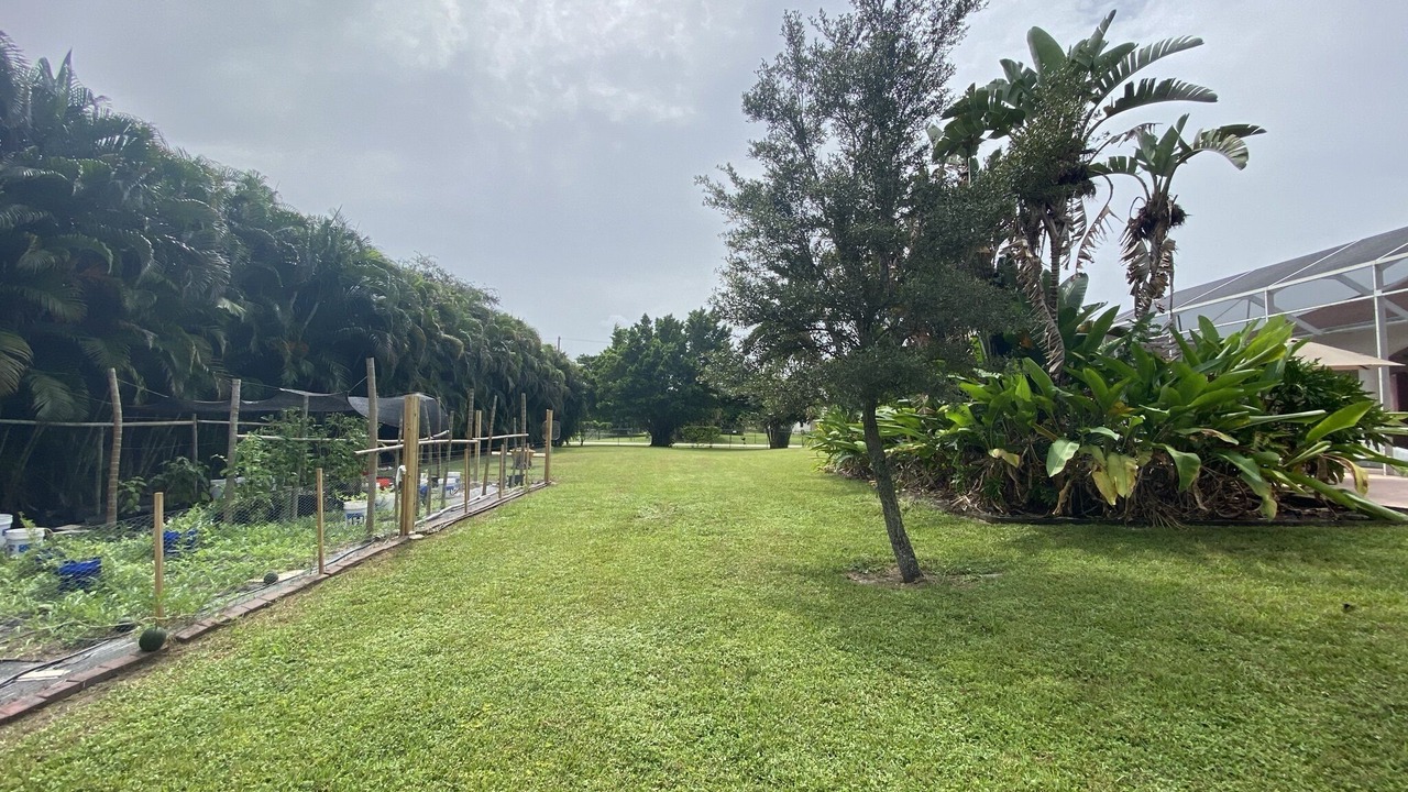 Photo of Outdoor in Palm Beach Country Estates