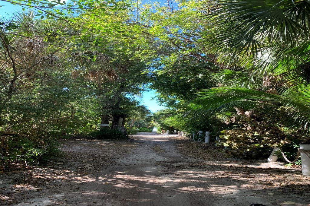 Photo of Outdoor in Jose's Hideaway