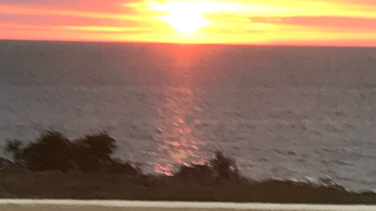 Photo of Others in Sea Ranch