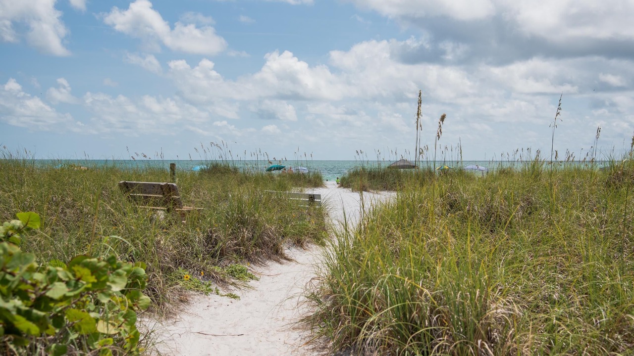 Photo of Others in Anna Maria