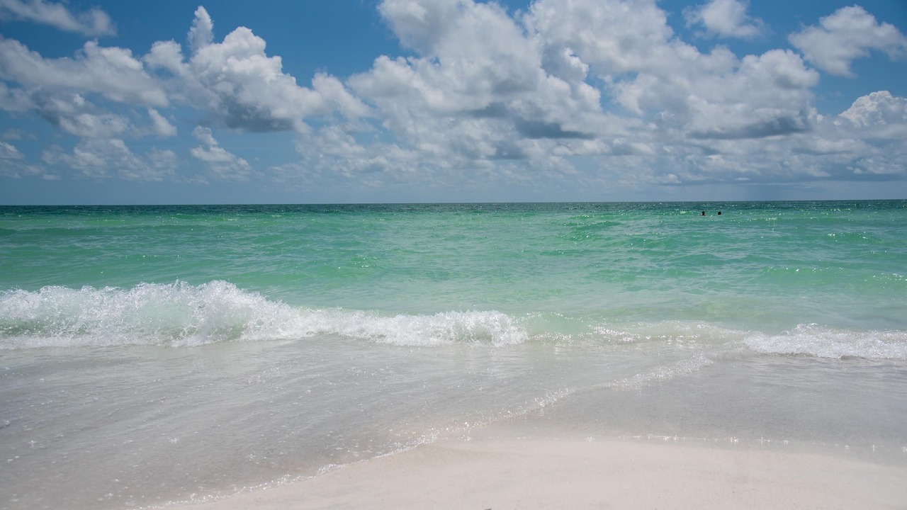 Photo of Others in Anna Maria