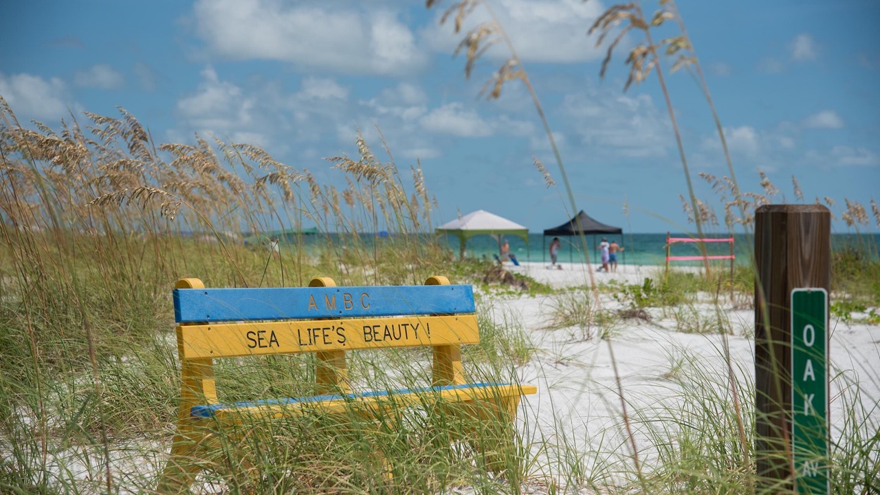 Photo of Others in Anna Maria