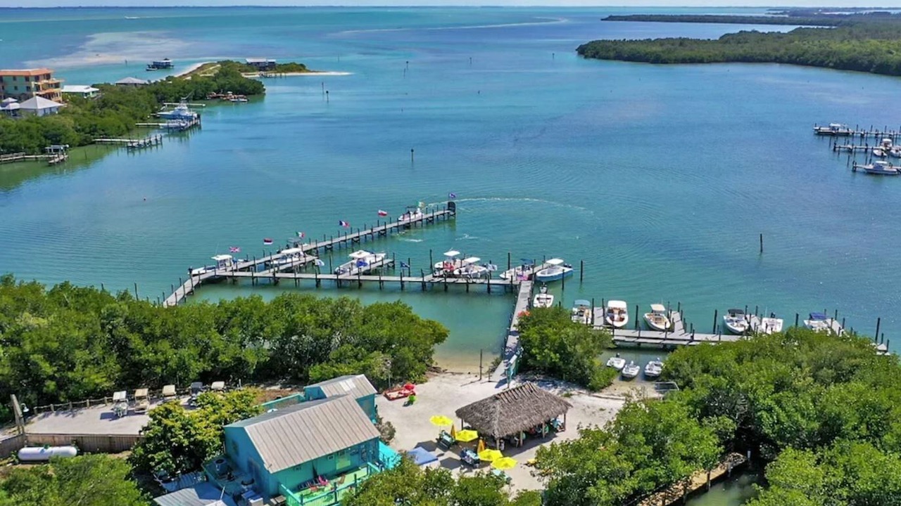 Photo of Others in Safety Harbor Club