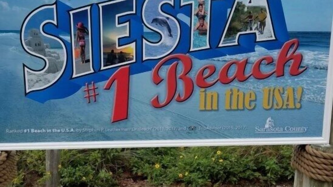 Photo of Others in Siesta Key