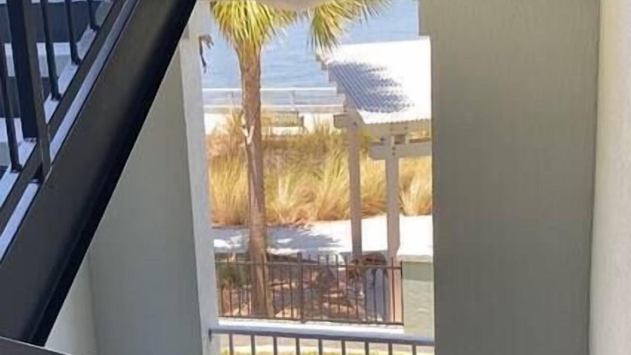 Photo of Others in Bradenton