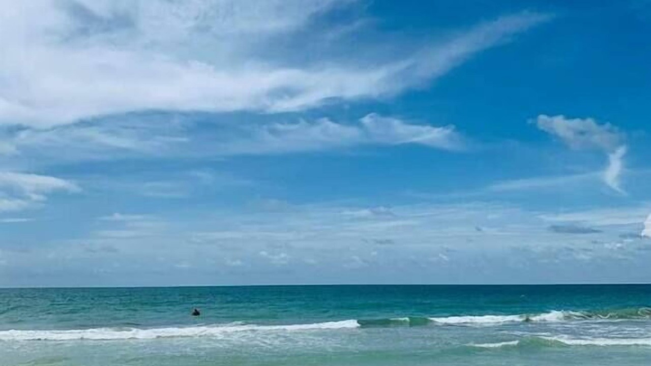 Photo of Others in Bradenton
