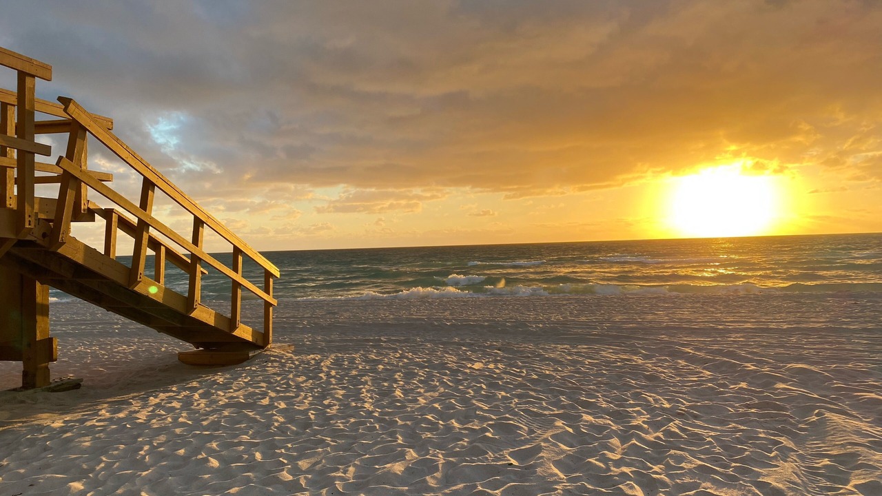 Photo of Others in Sunny Isles Beach