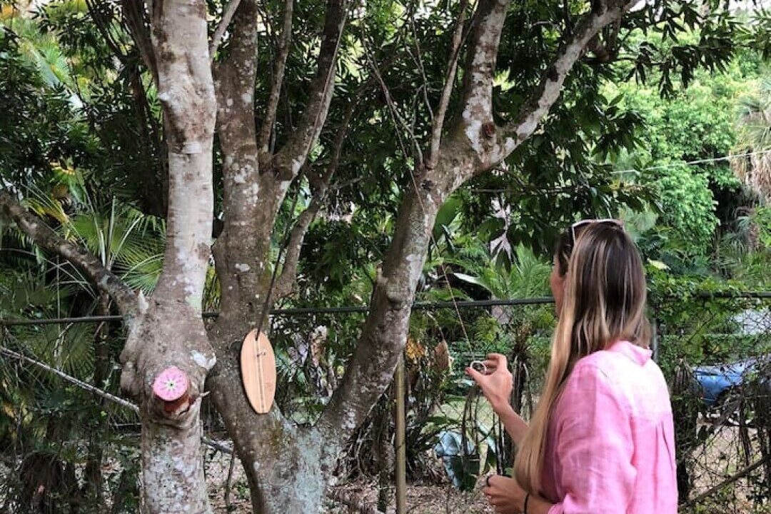 Photo of Outdoor in East Naples