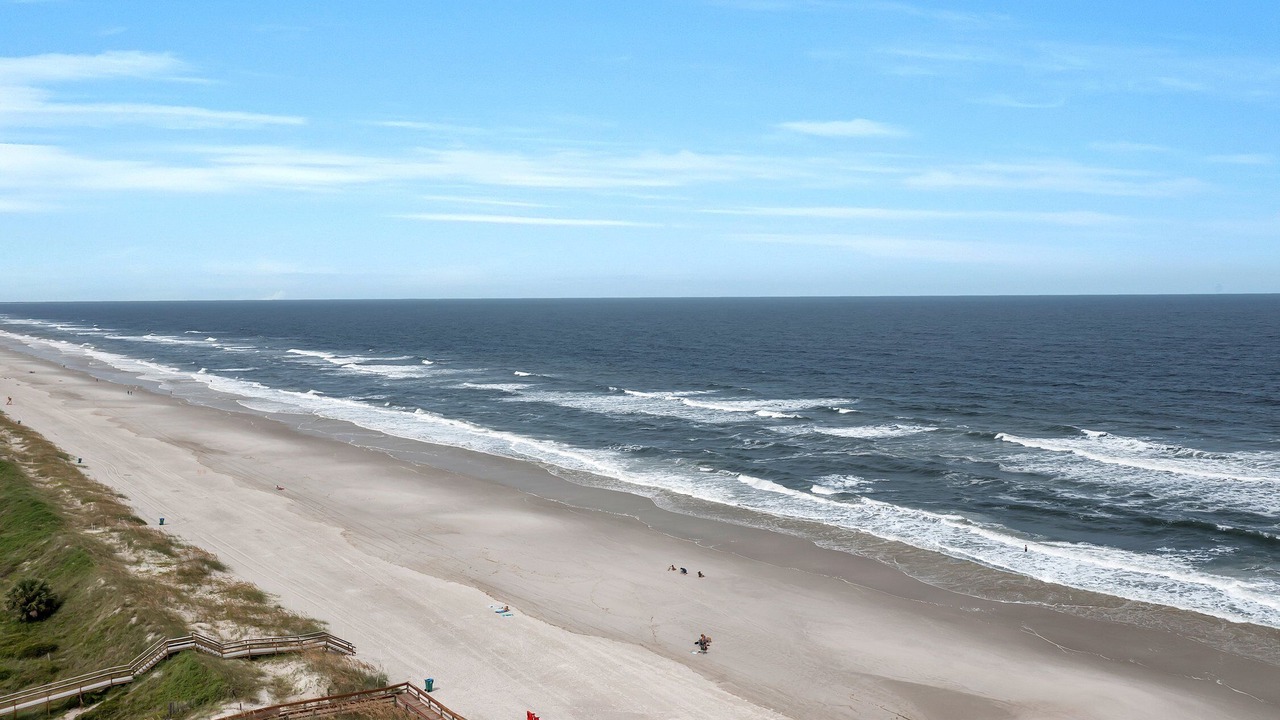 Photo of Others in Jacksonville