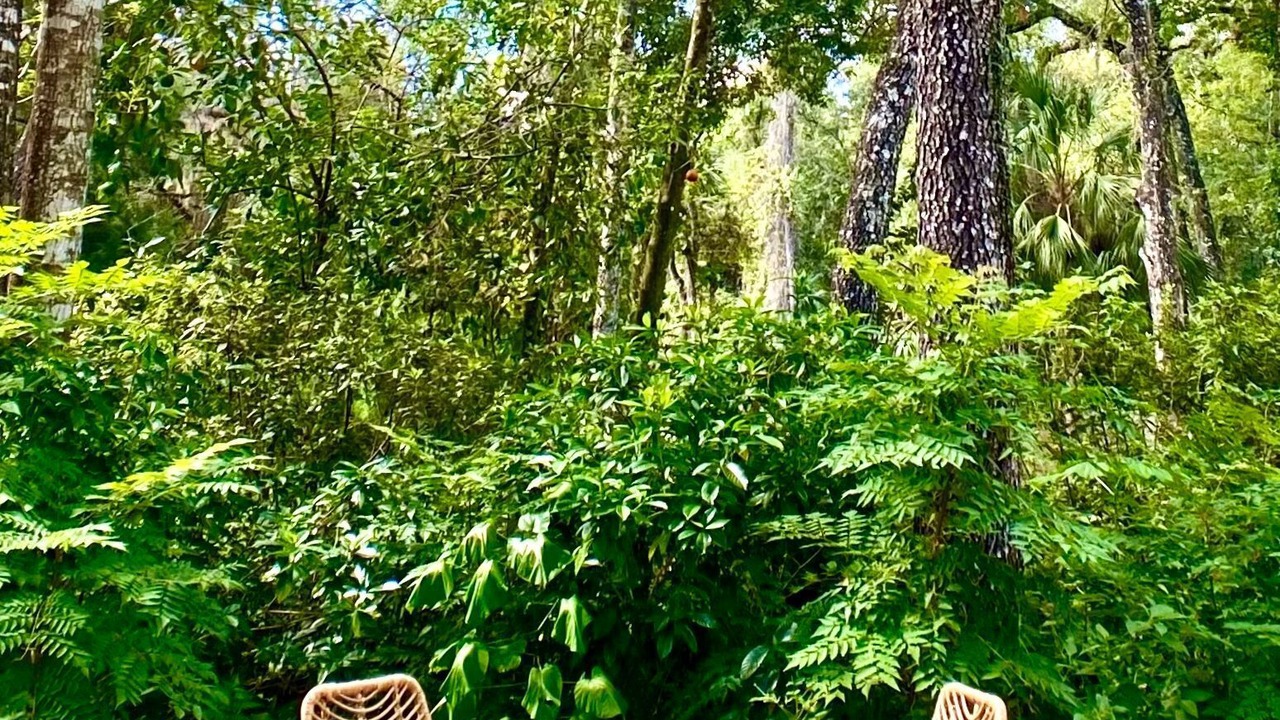 Photo of Outdoor in Dunnellon