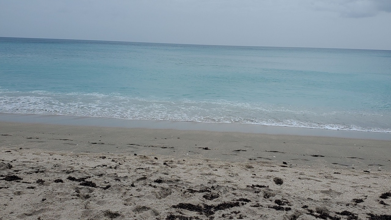 Photo of Others in Nettles Island