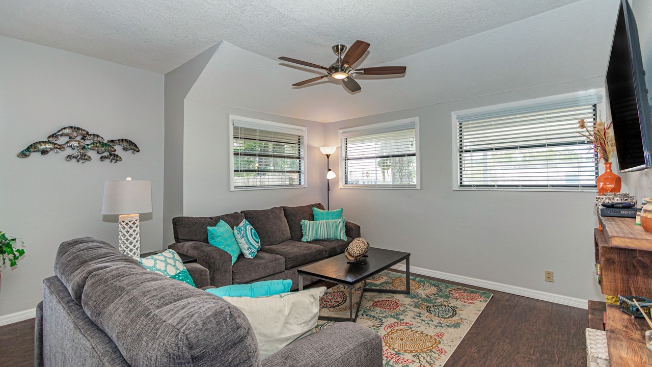 Photo of Livingroom in Safety Harbor