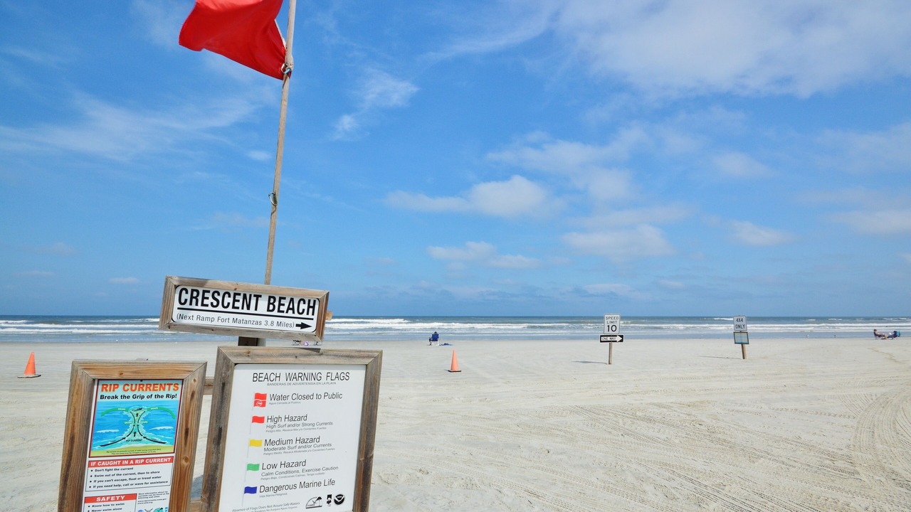Photo of Others in Siesta Key