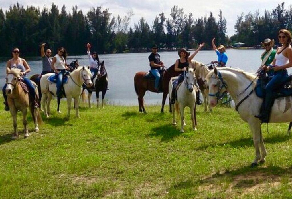 Photo of Others in Davie