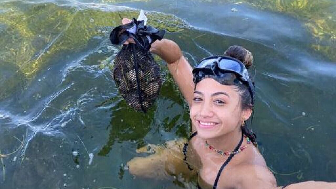 Photo of Others in Crystal River