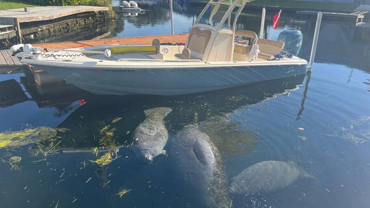 Photo of Others in Crystal River