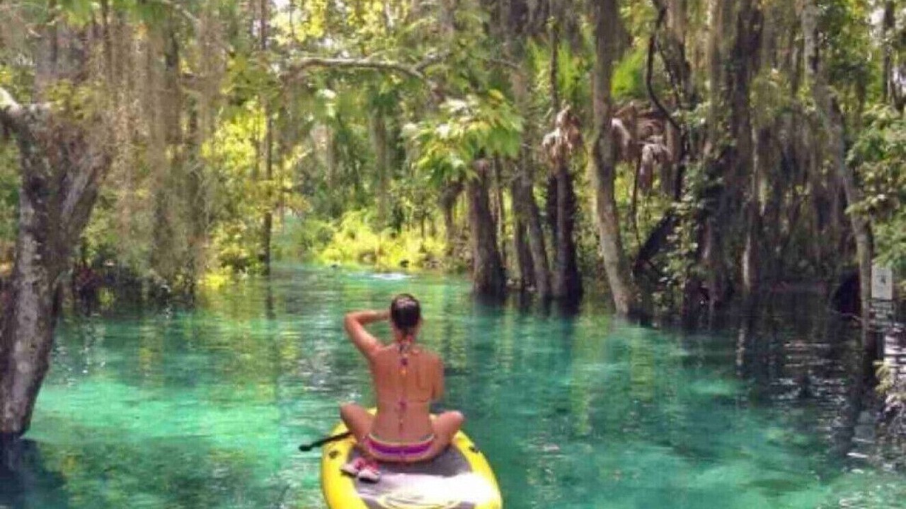 Photo of Outdoor in Crystal River