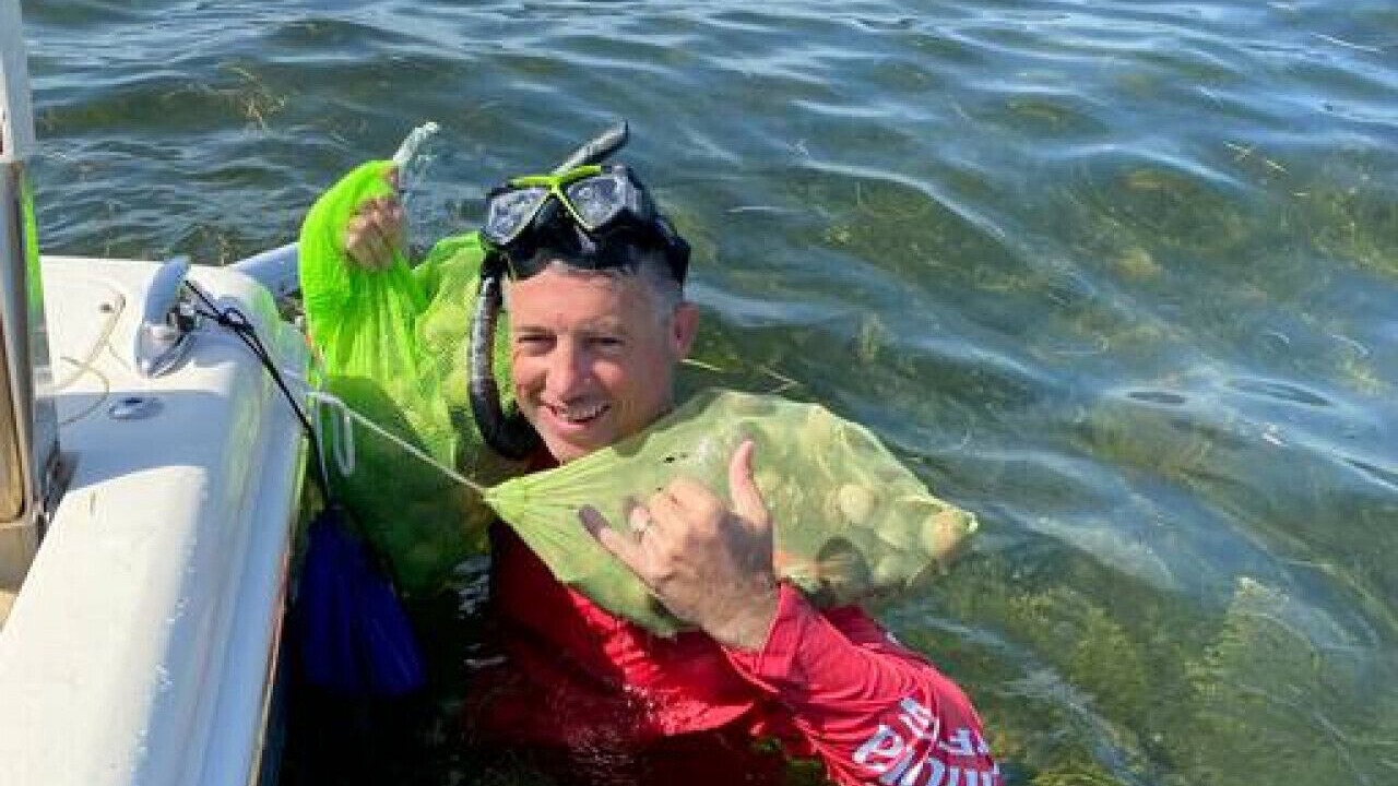 Photo of Others in Crystal River