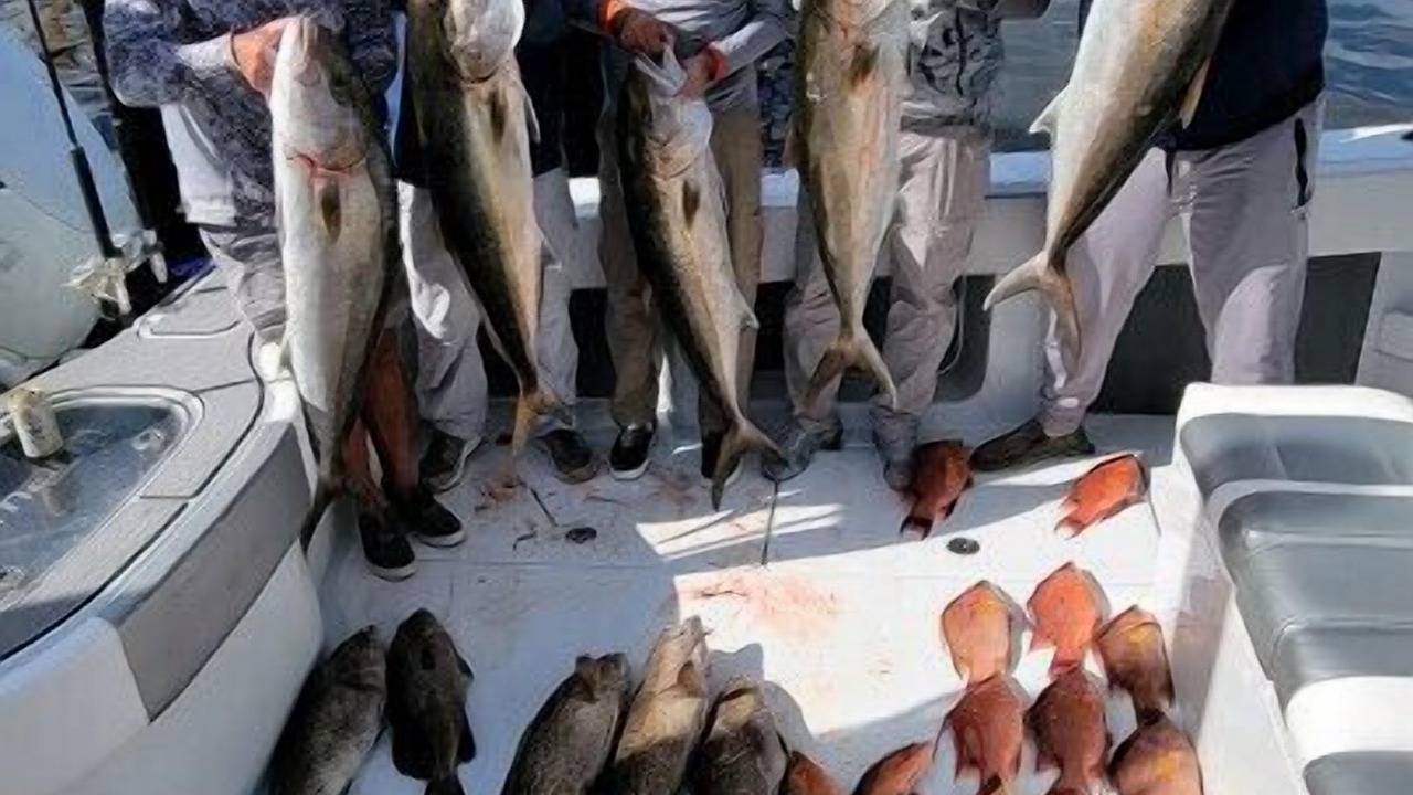 Photo of Others in Crystal River