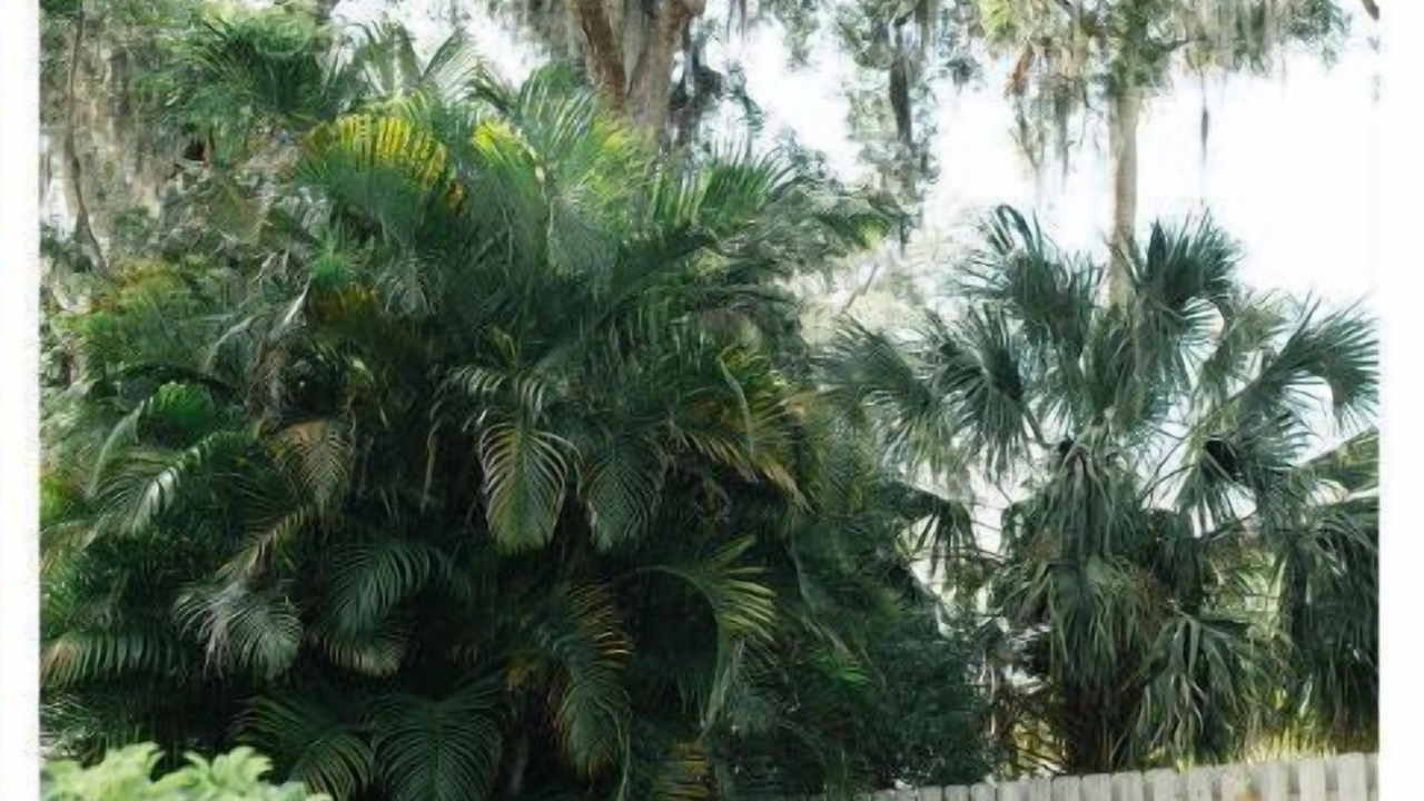 Photo of Outdoor in Port Orange