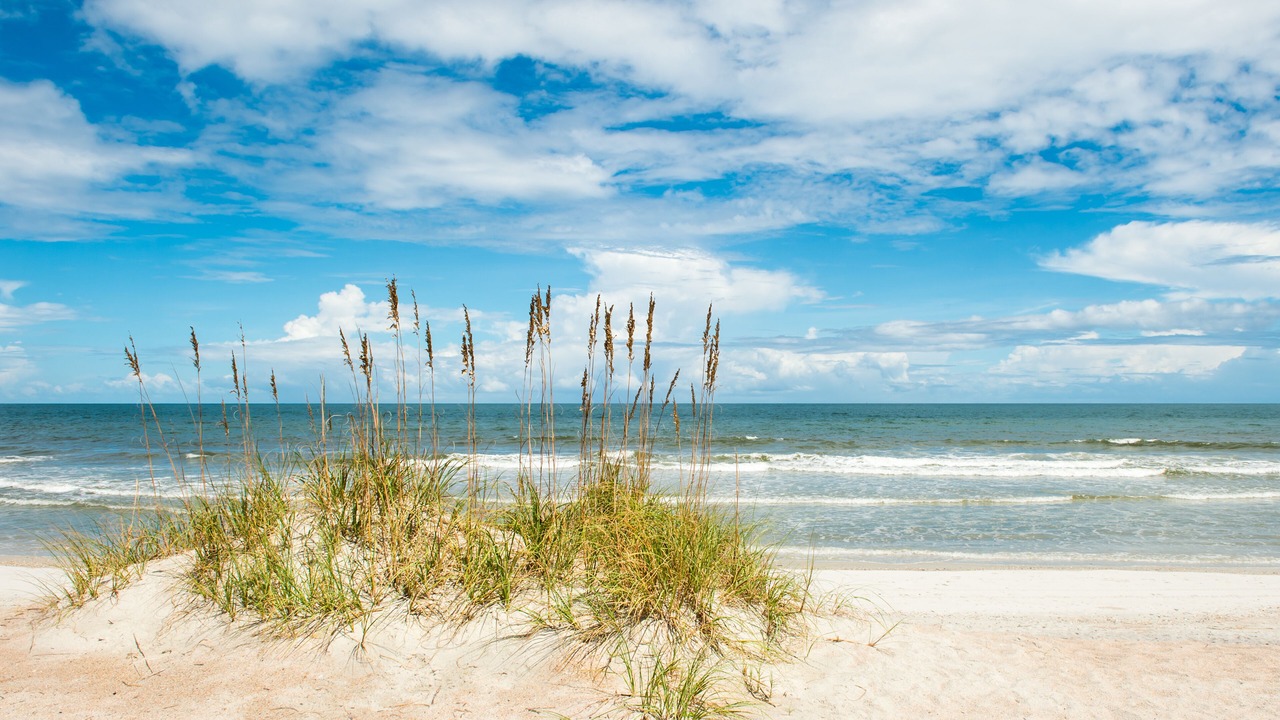 Photo of Others in Fernandina Beach