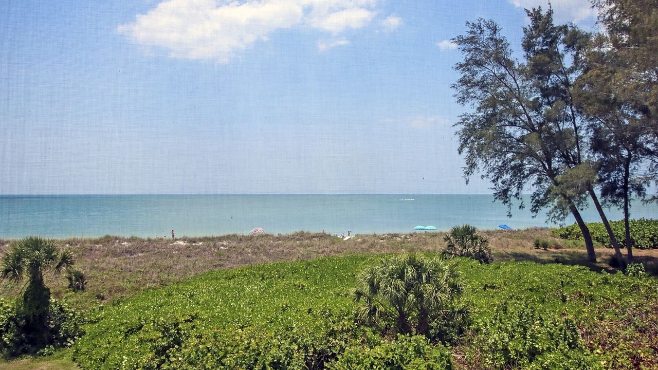 Photo of Others in Captiva