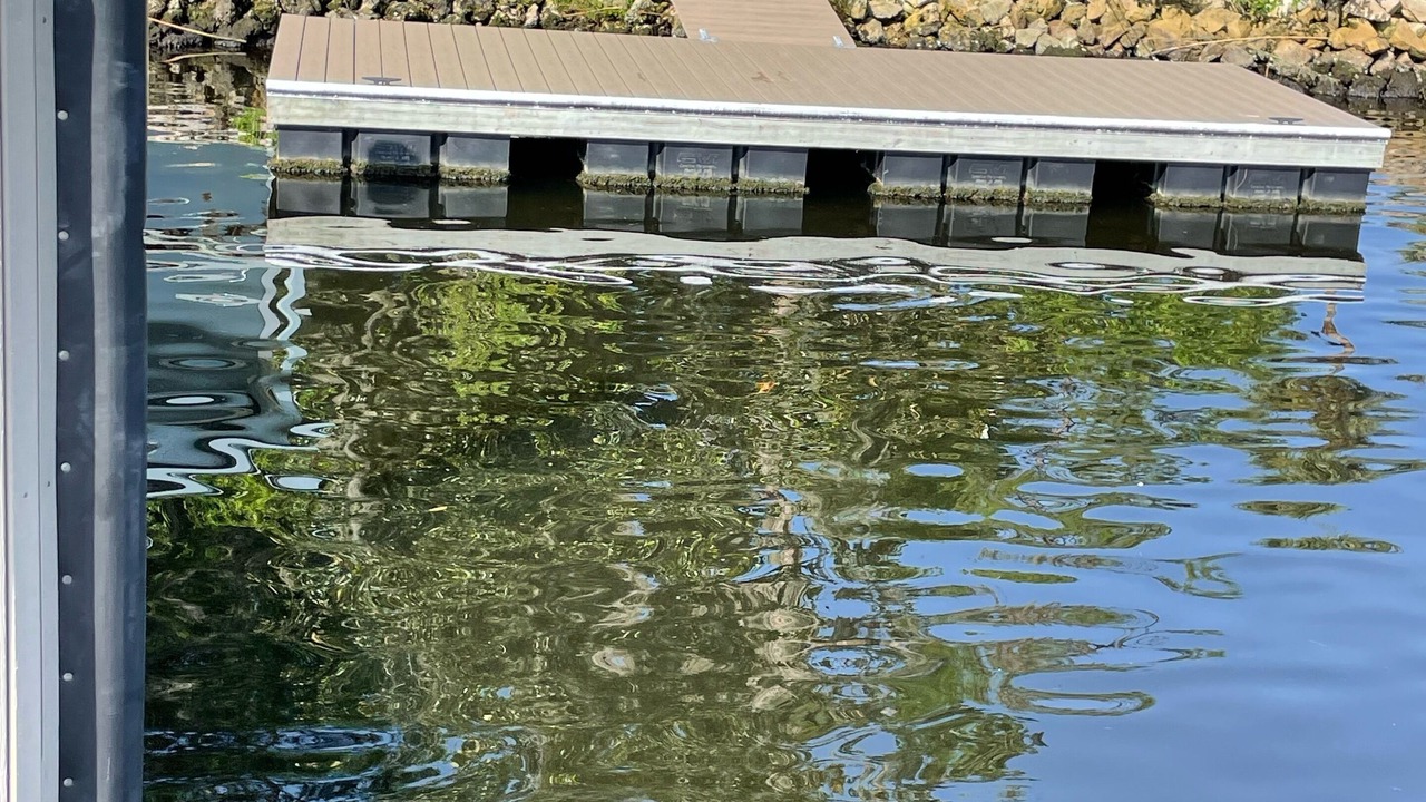 Photo of Outdoor in Homosassa