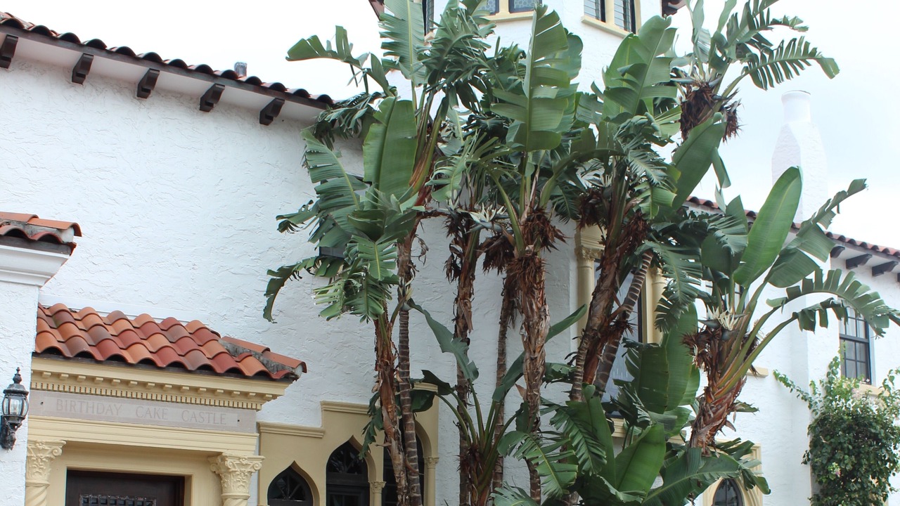 Photo of Outdoor in Lake Worth