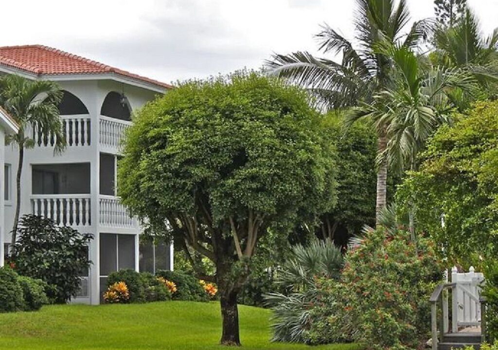 Photo of Outdoor in Sanibel