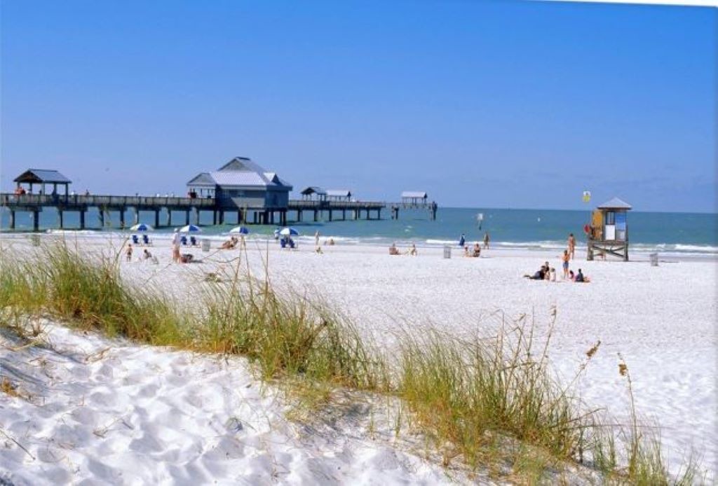 Photo of Others in Clearwater