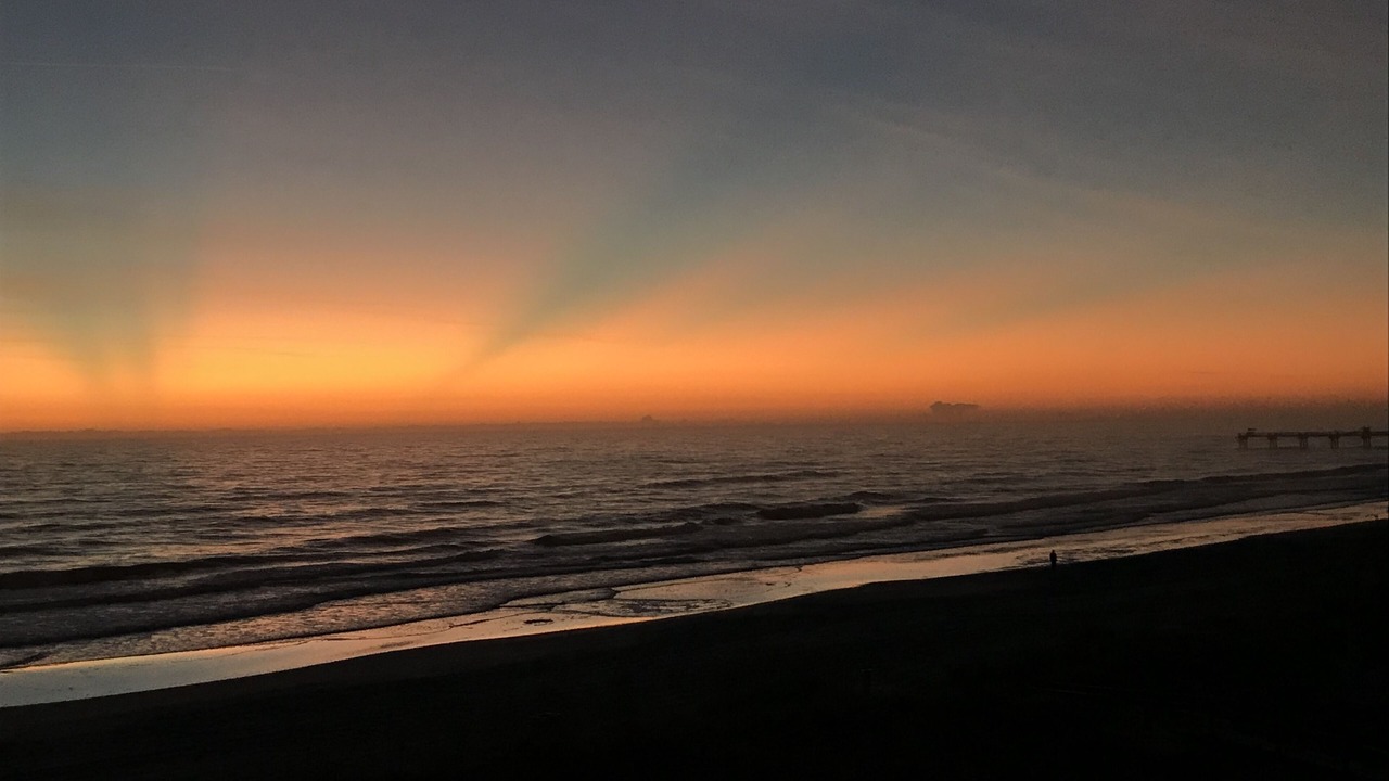 Photo of Others in Jacksonville Beach