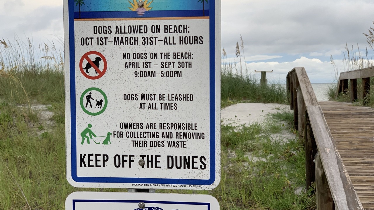 Photo of Outdoor in Jacksonville Beach