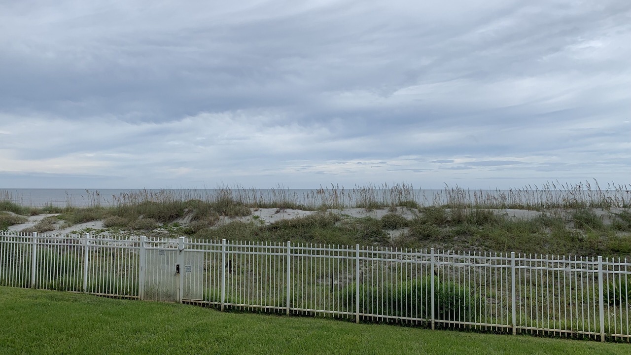 Photo of Others in Jacksonville Beach