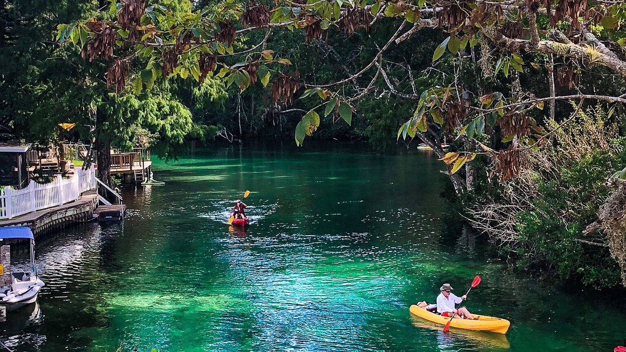 Photo of Others in Weeki Wachee Gardens