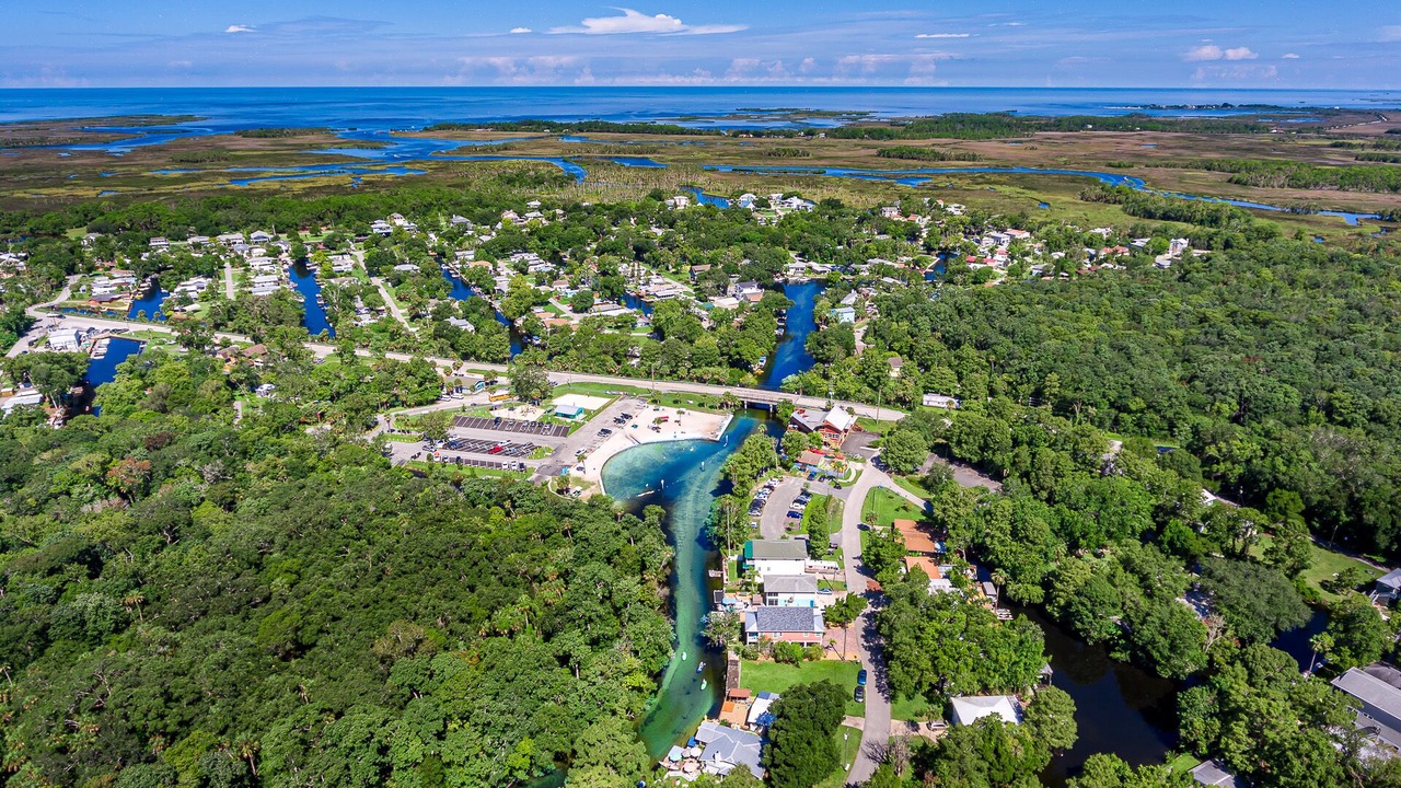 Photo of Outdoor in Weeki Wachee Gardens