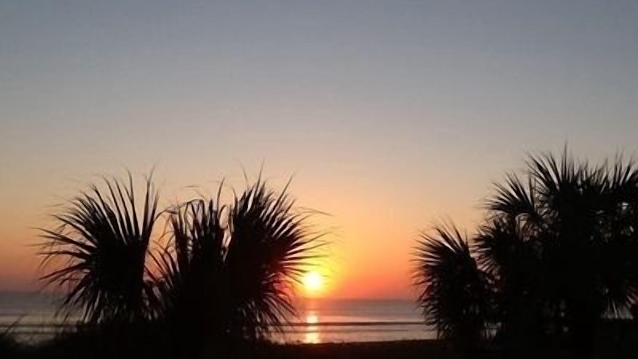 Photo of Others in Ormond-by-the-Sea